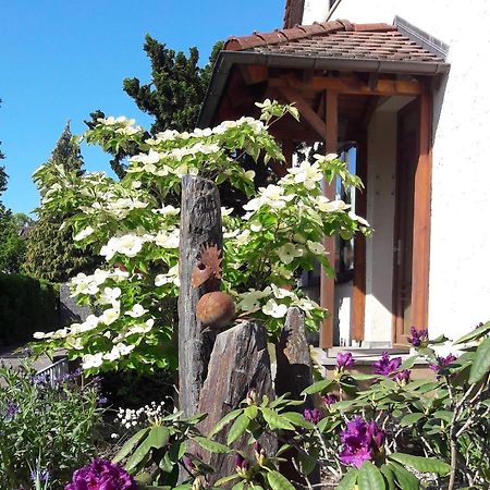 Fremdenzimmer Familie Foerster Villingen-Schwenningen Esterno foto